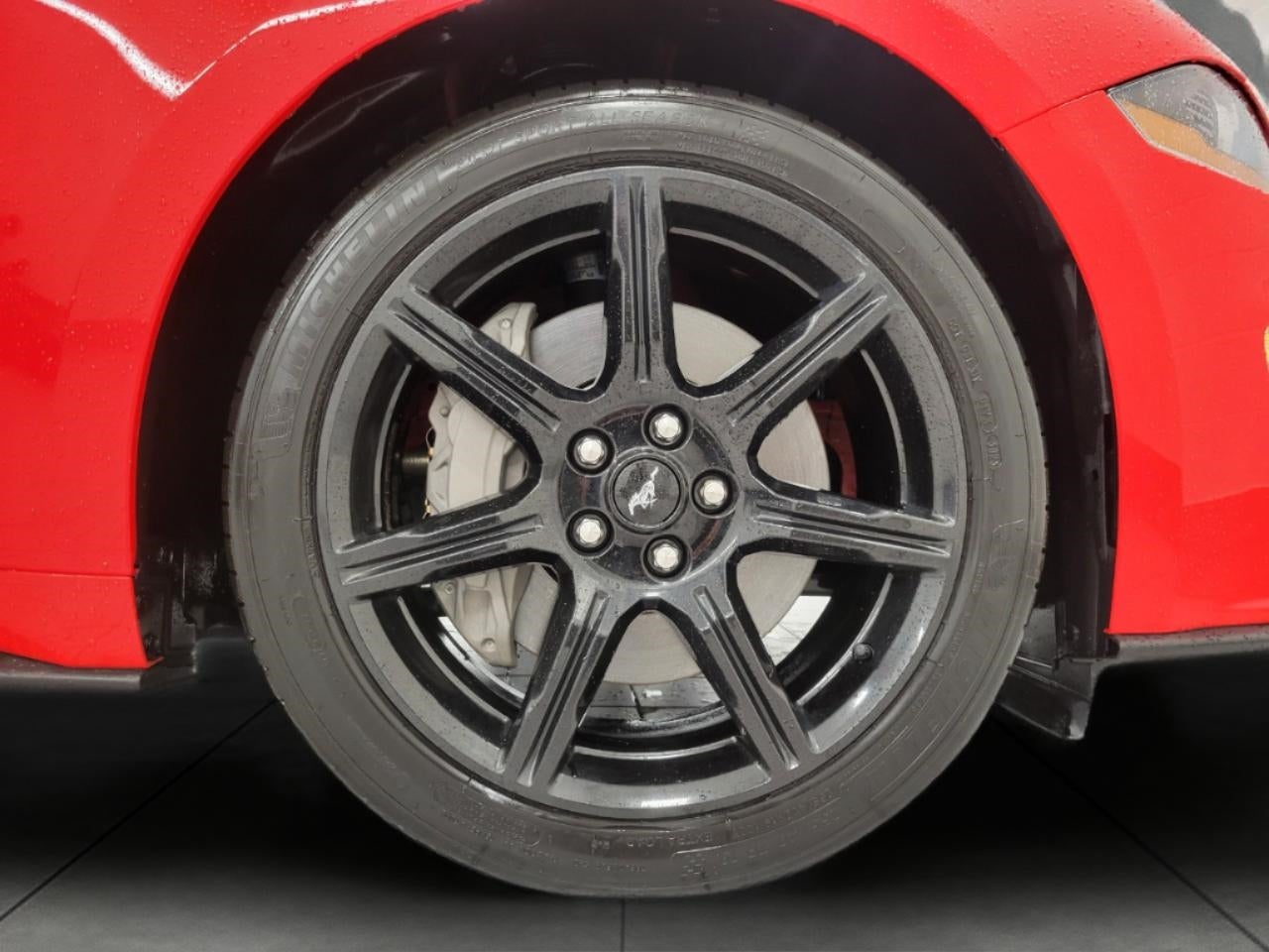 2019 Ford Mustang GT Fastback