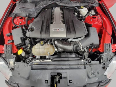 2019 Ford Mustang GT Fastback