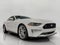 2020 Ford Mustang GT Premium Fastback