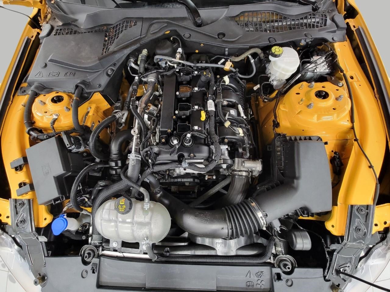 2022 Ford Mustang EcoBoost Fastback