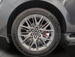 2025 Ford Expedition Max Platinum 4x4