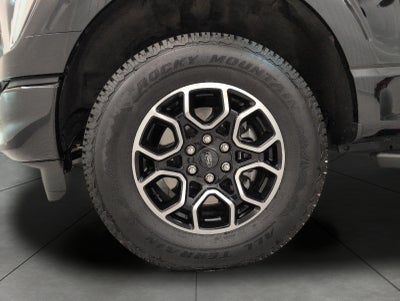 2023 Ford F-150 XLT 4WD SuperCrew 5.5' Box