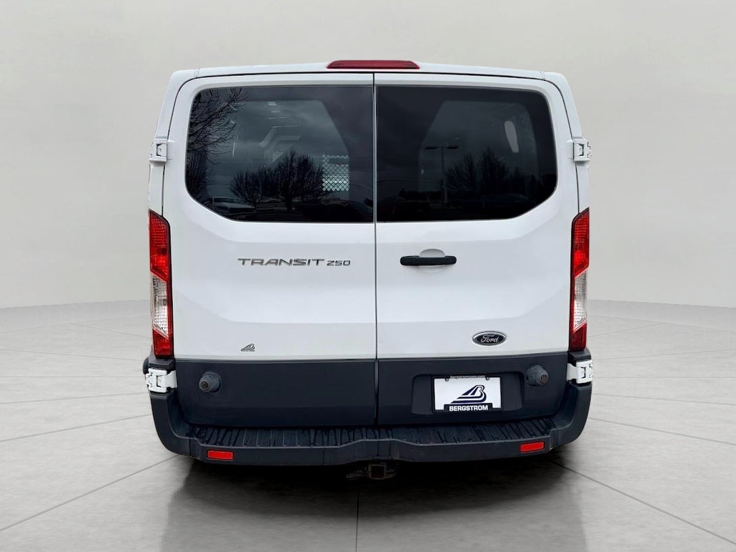 2015 Ford Transit Cargo Van T-250 148 Low Rf 9000 GVWR Swing-Out RH Dr