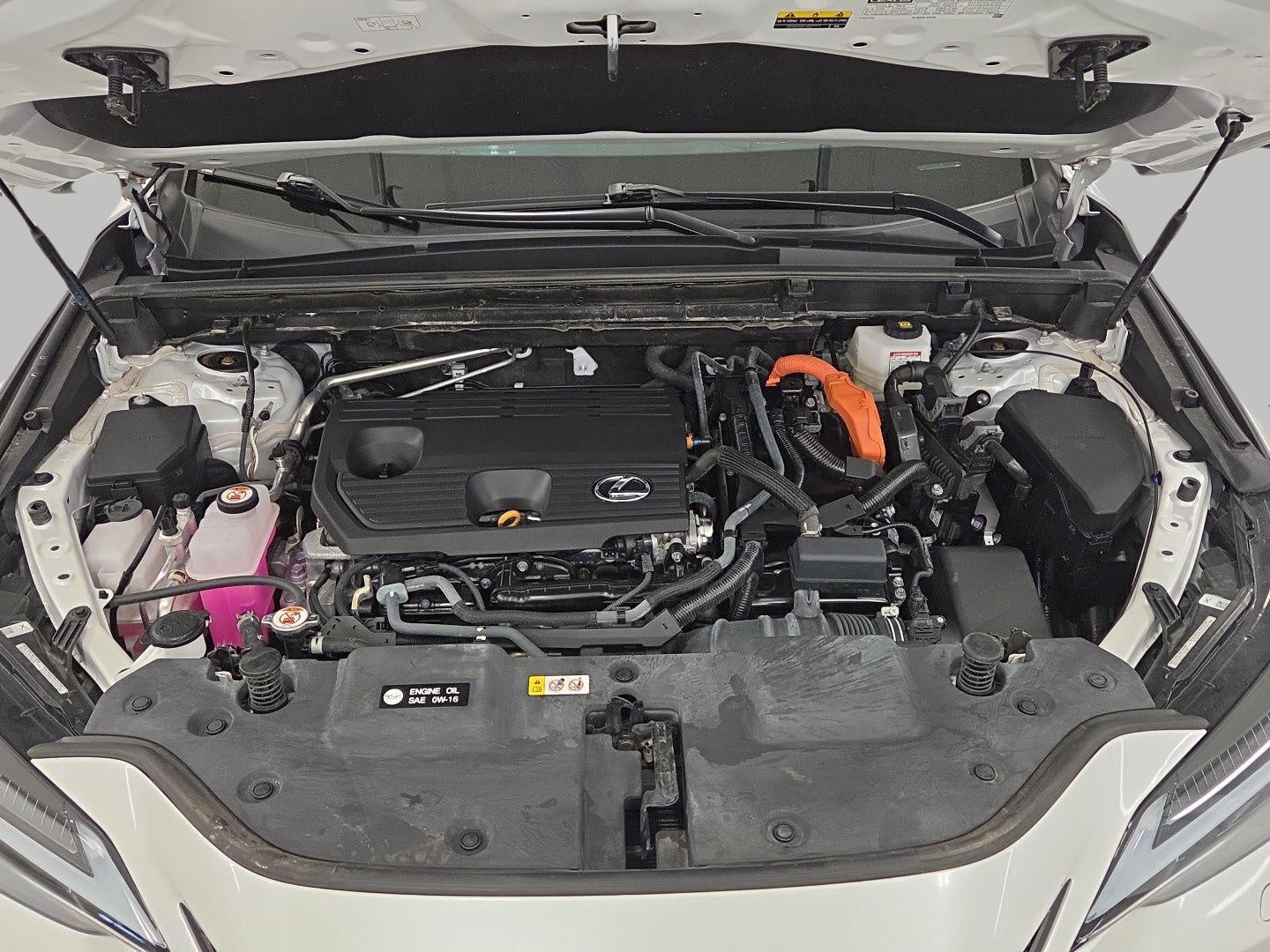 2024 Lexus NX NX 350h Luxury AWD