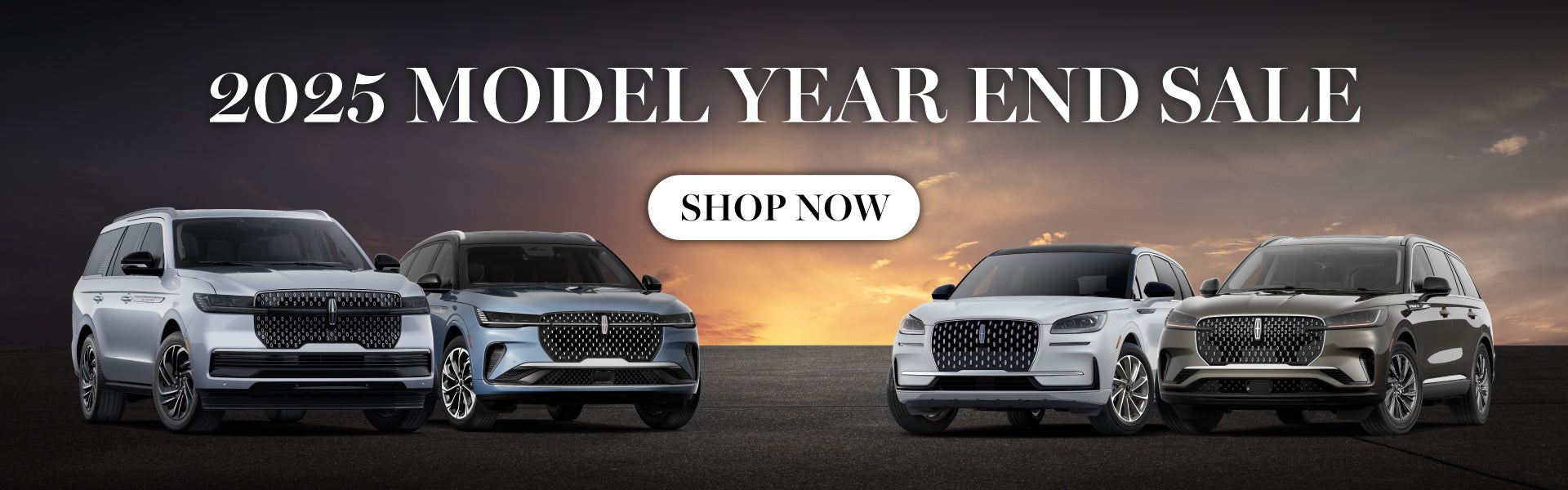 2025 Model Year End Sale